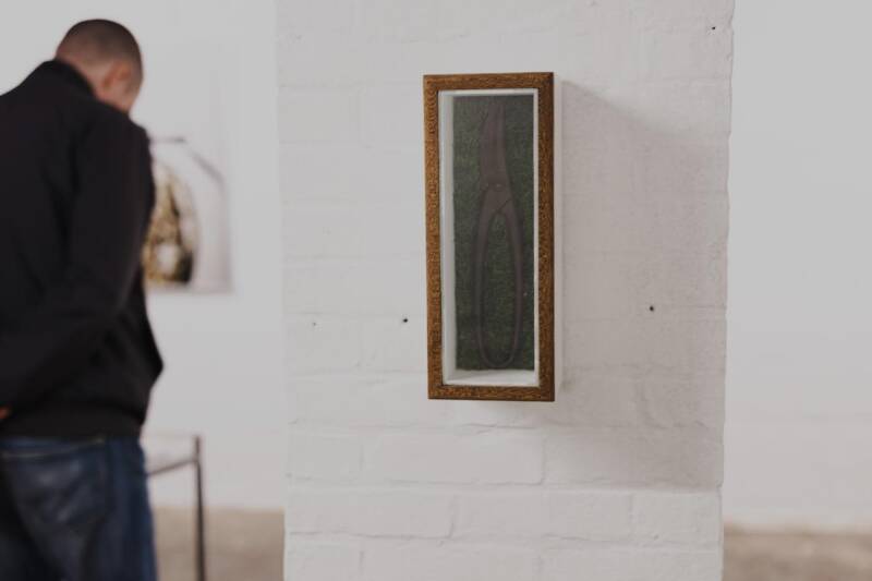 Since the descent from the trees to the ascent to the moon 