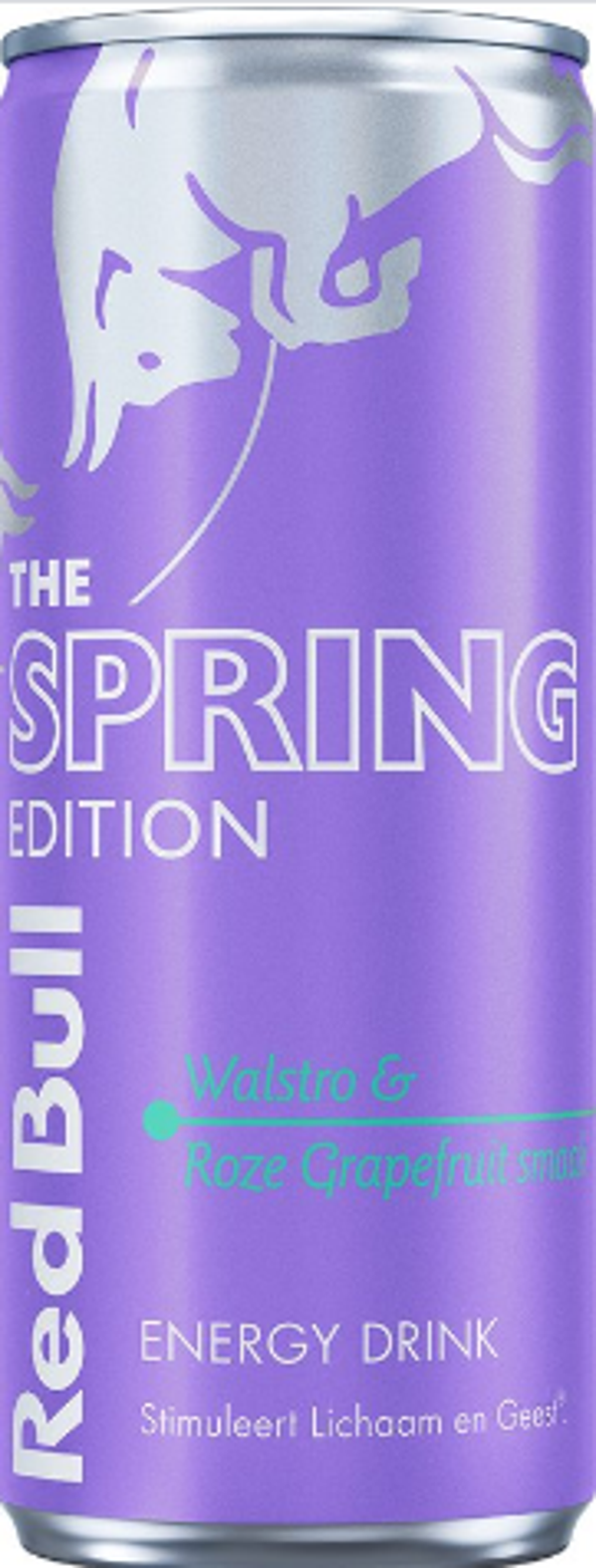 Red Bull Spring Purple 12x0,25L