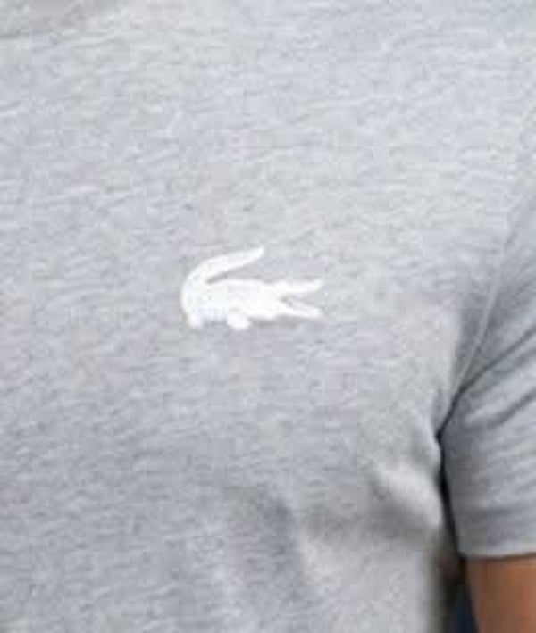 T shirt Lacoste
