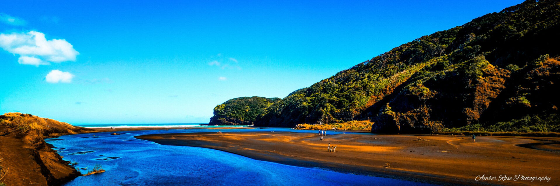 Bethells Beach, West Coast, New Zealand