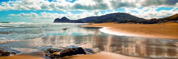 Bethells Beach, West Coast, New Zealand