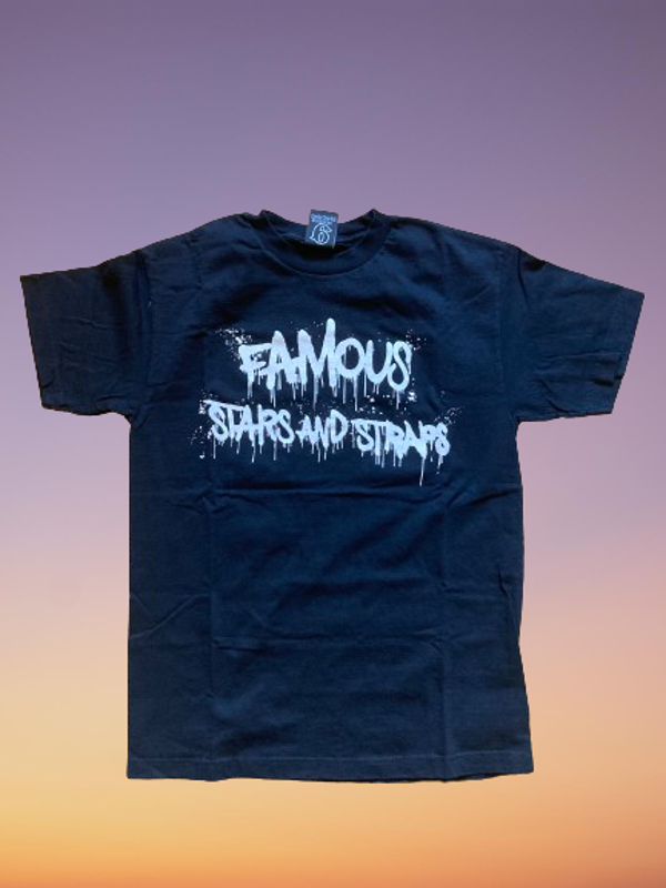 Vintage 00's Stars and Straps 'Blink 182' T-Shirt Size M.