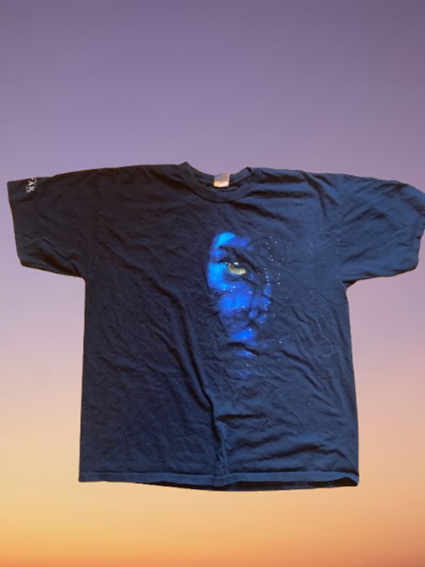 2010 Avatar Movie Promo T-Shirt Size XL.