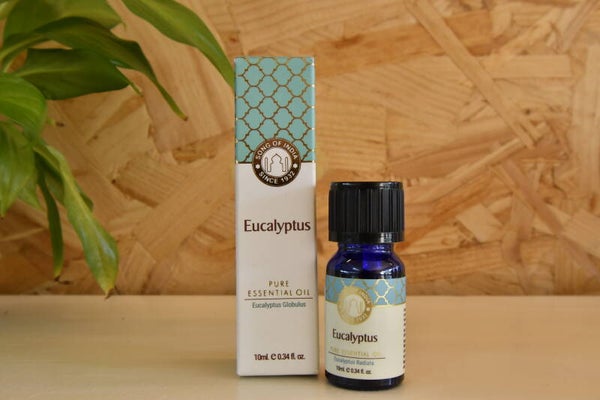 Etherische Eucalyptus olie Song of India