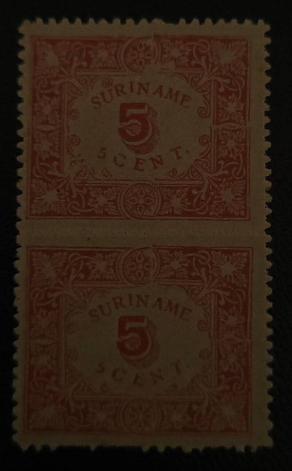 SURINAME NVPH 58 IN PAAR POSTFRIS