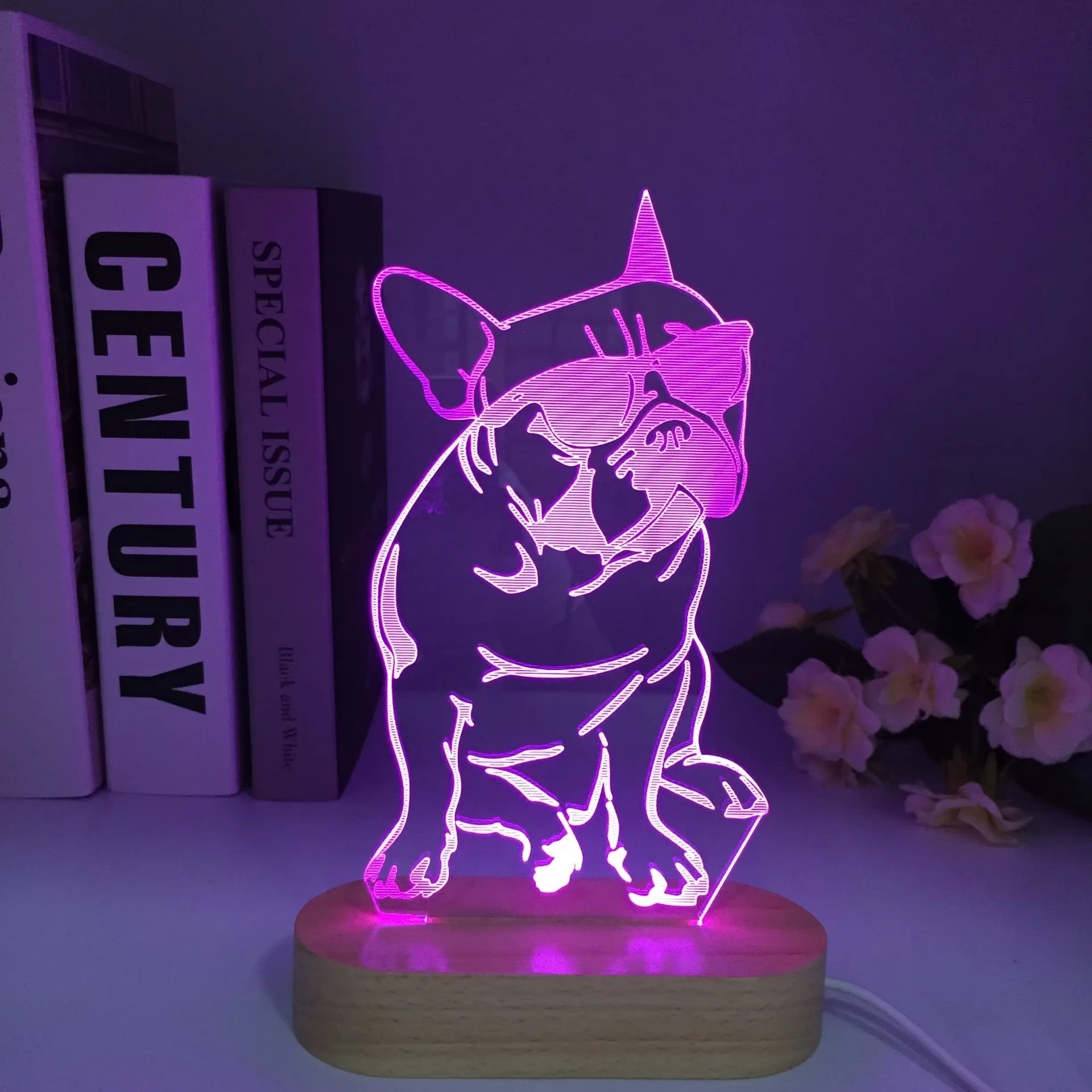 Wooden 3D LED Night Lamps