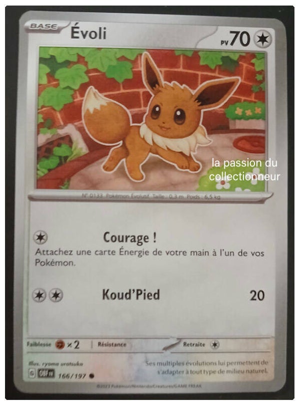 Carte pokémon commune classique de Évoli 166/197
