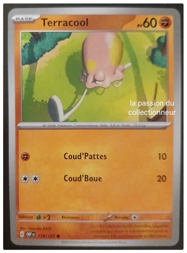 Carte pokémon commune classique de Terracool 118/197