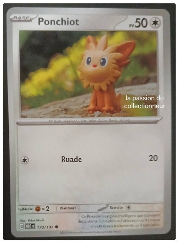 Carte pokémon commune classique de Ponchiot 170/197