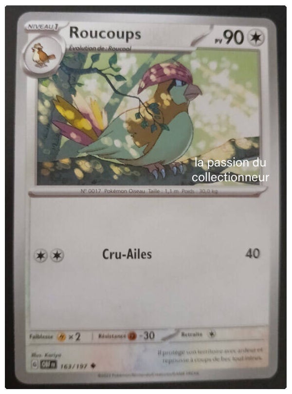 Carte pokémon peu commune classique de Roucups 163/197