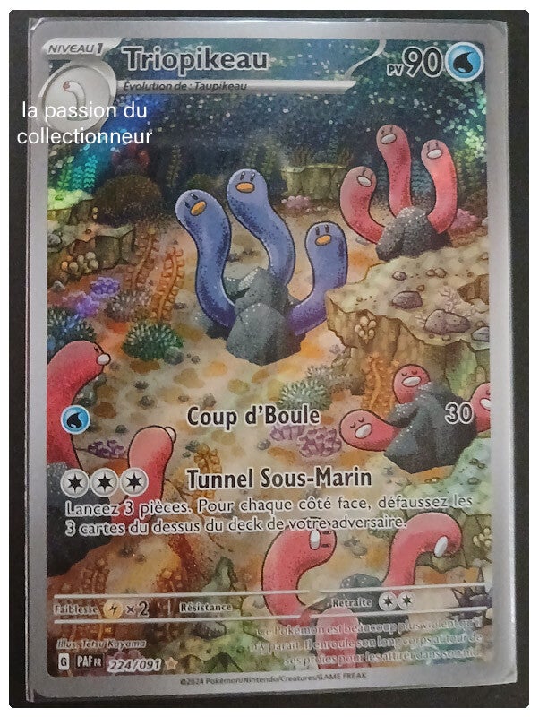 Carte pokémon de Triopikeau 224/091