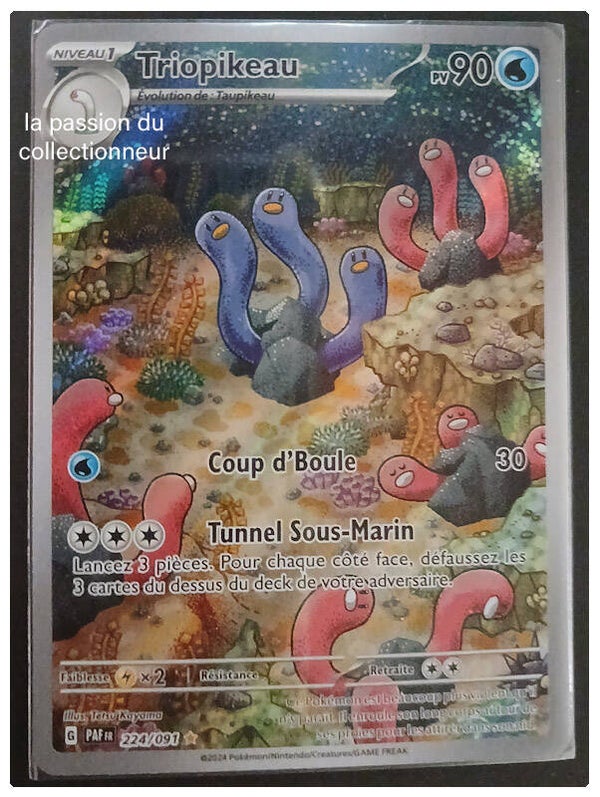 Carte pokémon de Triopikeau 224/091