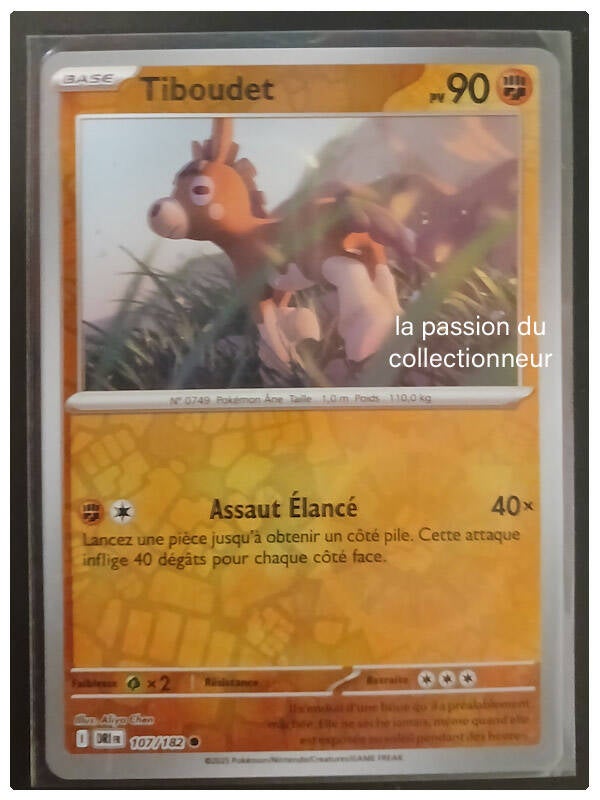 Carte pokémon de Tiboudet 107/182