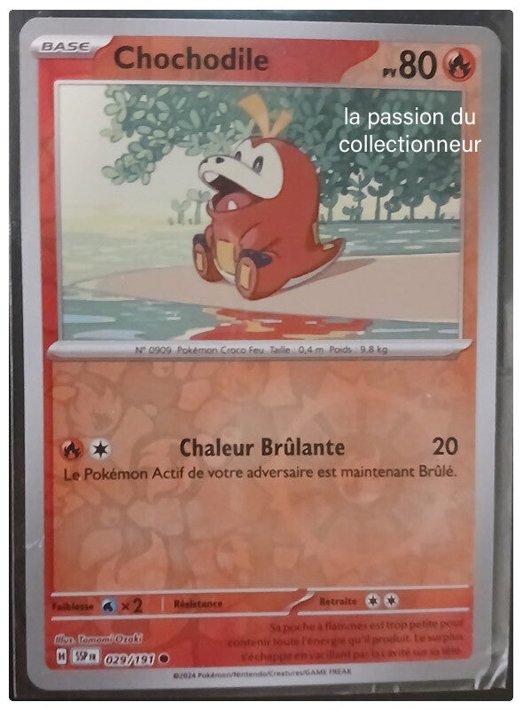 Carte pokémon de Chochodile 029/191