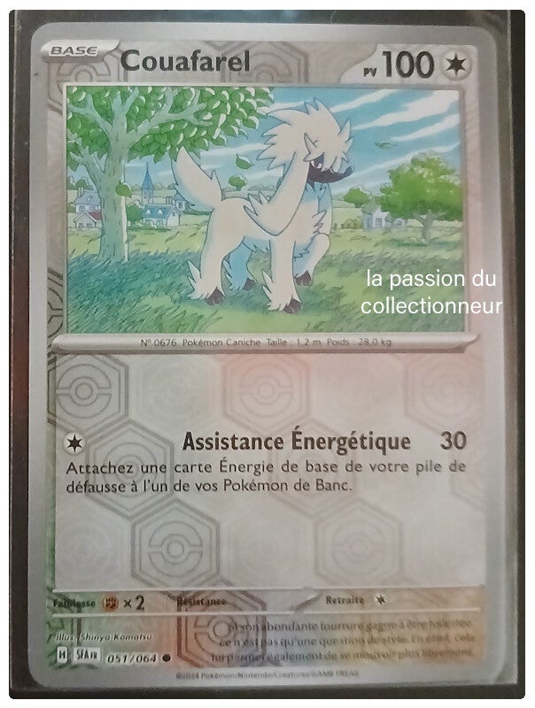 Carte pokémon de Couafarel 061/064