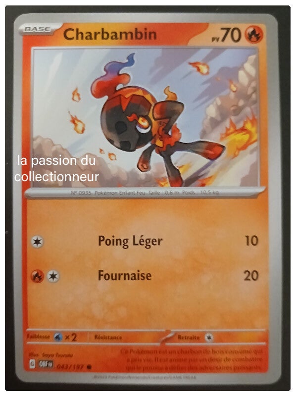 Carte pokémon de Charbambin 043/197