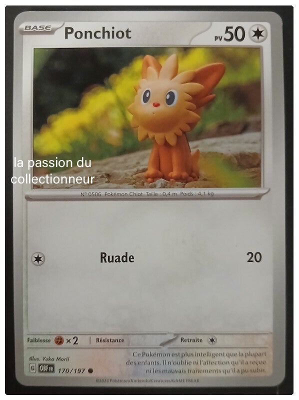 Carte pokémon de Ponchiot 170/197