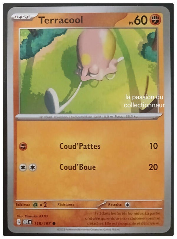 Carte pokémon de Terracool 1118/197