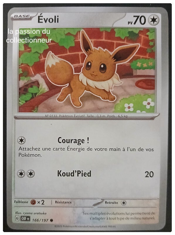 Carte pokémon de Évoli 166/197