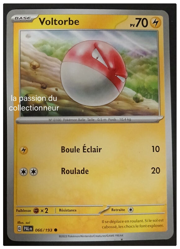 Carte pokémon de Voltorbe 066/193