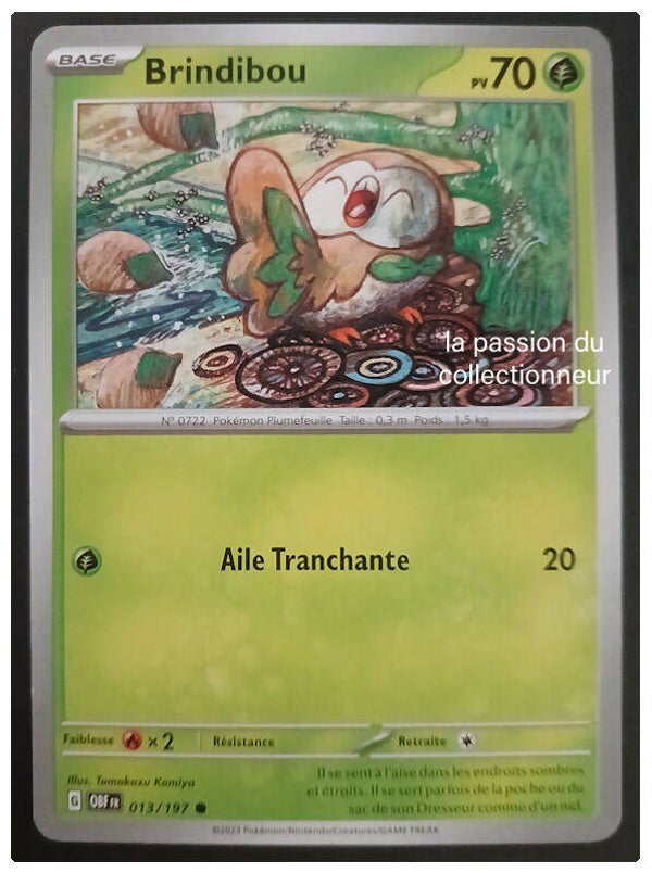 Carte pokémon de Brindibou 013/197
