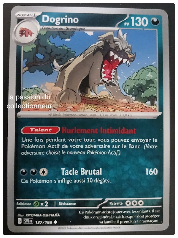 Carte pokémon de Dogrino 137/198