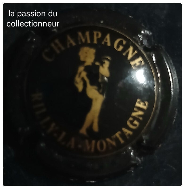 Capsule de champagne Rilly la Montagne