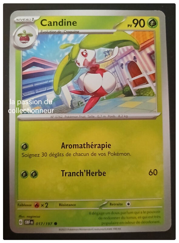 Carte pokémon de Candine 017/197
