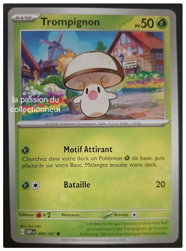 Carte pokémon de Trompignon 009/197