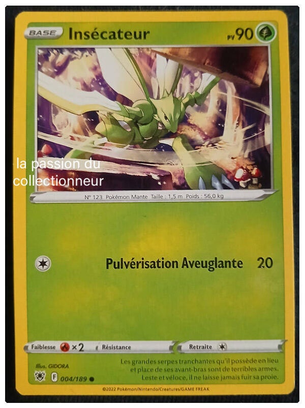 Carte pokémon de Insécateur 004/189