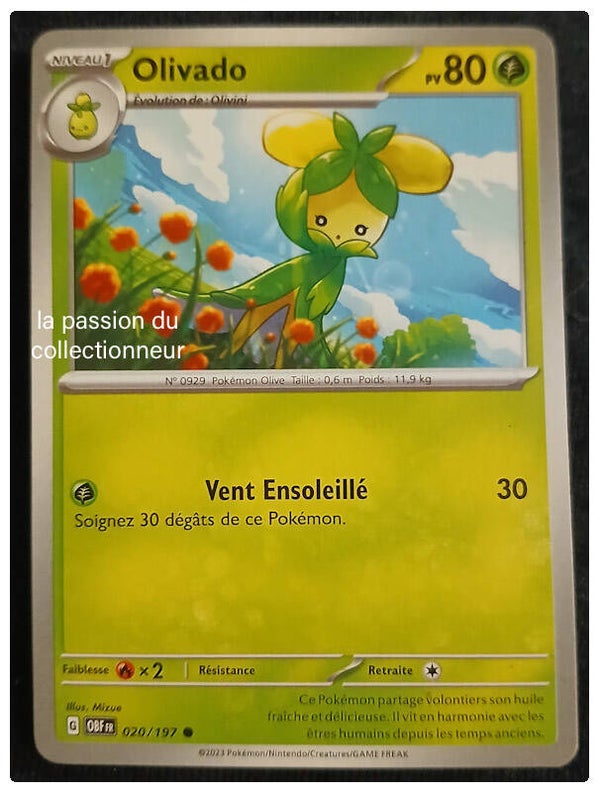 Carte pokémon de Olivado 020/197