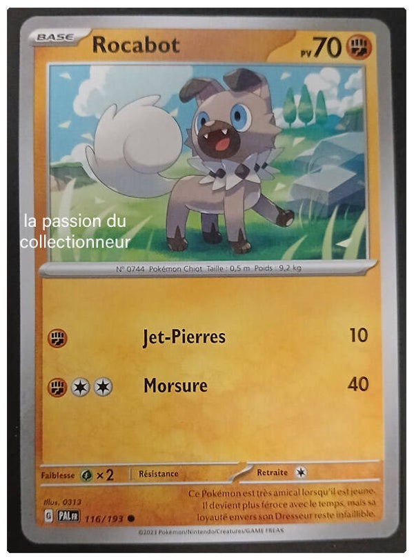 Carte pokémon de Rocabot 116/193