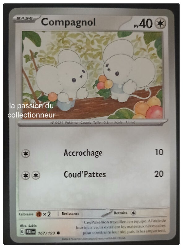Carte pokémon de Compagnol 167/193