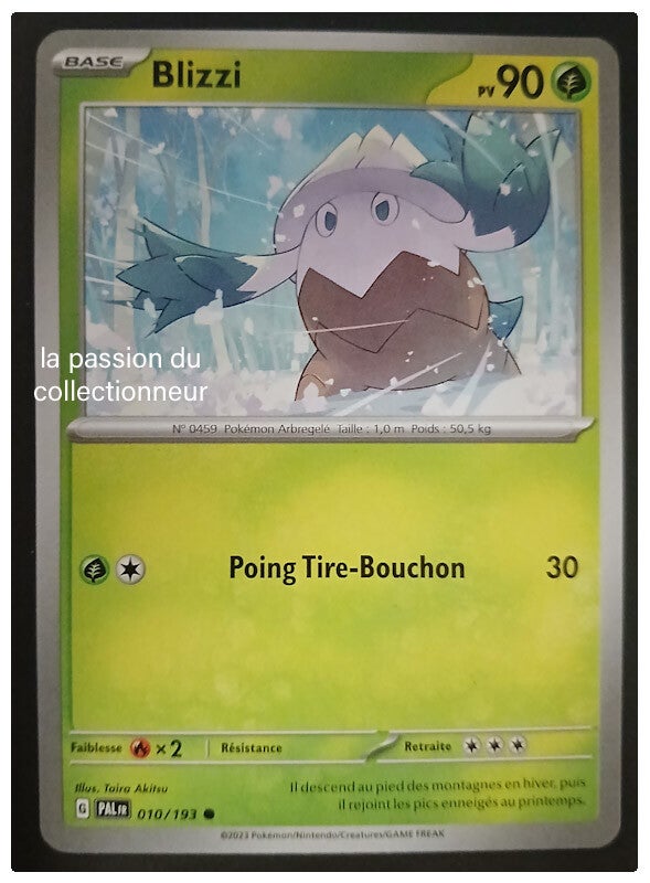 Carte pokémon de Blizzi 010/193