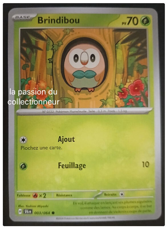 Carte pokémon de Brindibou 003/064