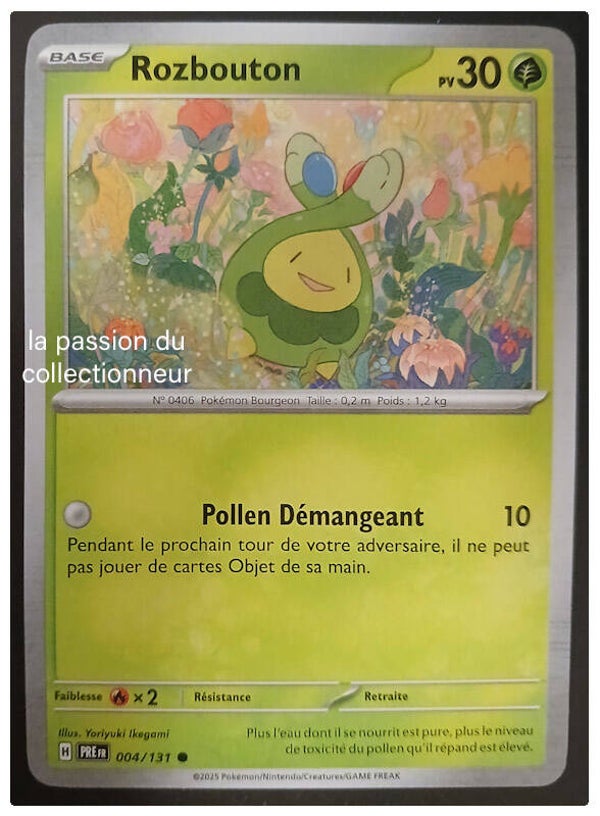 Carte pokémon de Rozbouton 004/131
