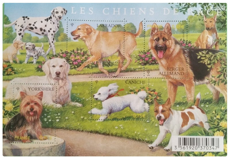 Timbre feuillet de France neuf numéro F4545 ●