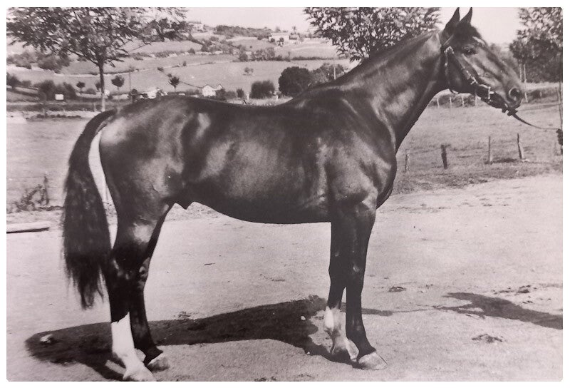Normand avec publicité médical