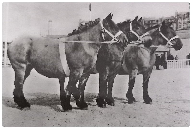 Auxois avec publicité médical
