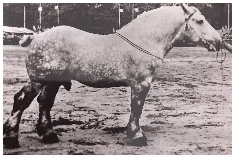 Trait du Maine avec publicité médical