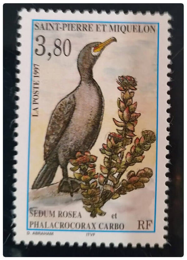Timbre de Saint Pierre et Miquelon neuf numéro 642 ●