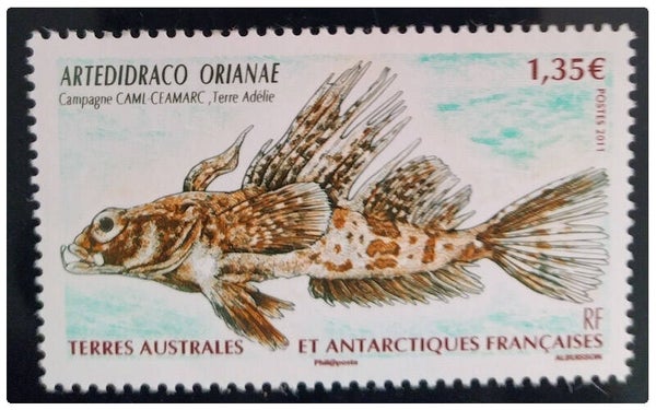 Timbre TAAF neuf numéro 583 ●