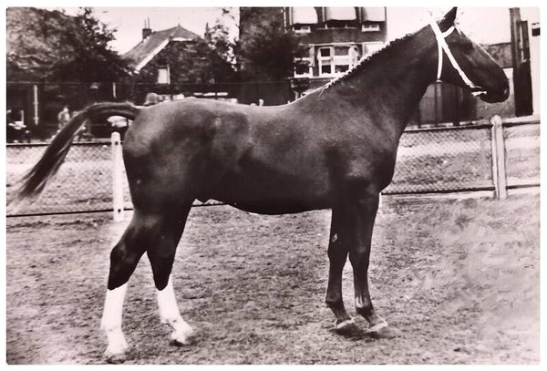 Gelders avec publicité médical