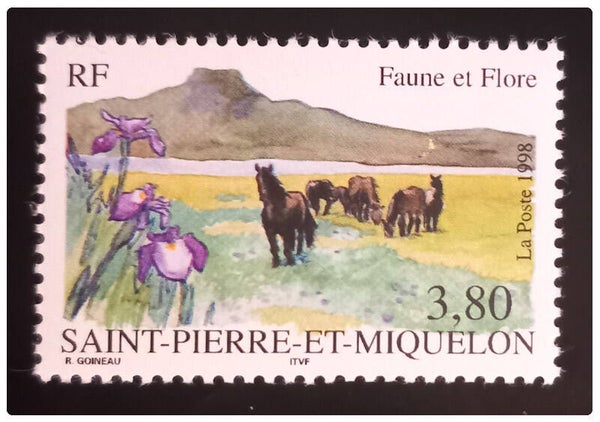 Timbre de Saint Pierre et Miquelon neuf numéro 671 ●