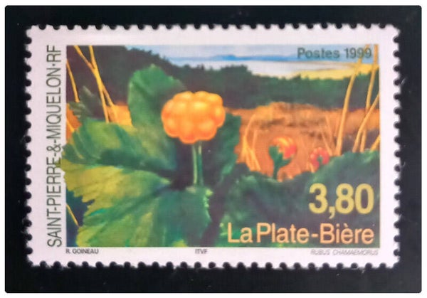 Timbre de Saint Pierre et Miquelon neuf numéro 688 ●