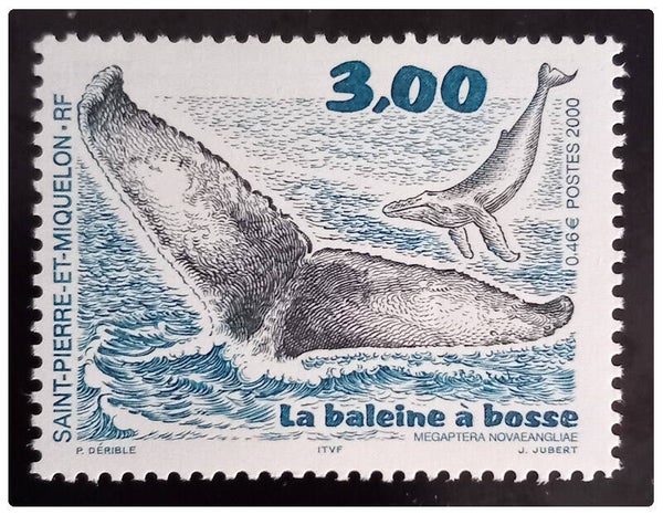 Timbre de Saint Pierre et Miquelon neuf numéro 707 ●