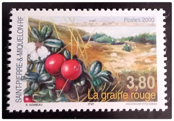 Timbre de Saint Pierre et Miquelon neuf numéro 710 ●