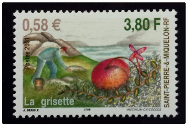Timbre de Saint Pierre et Miquelon neuf numéro 740 ●
