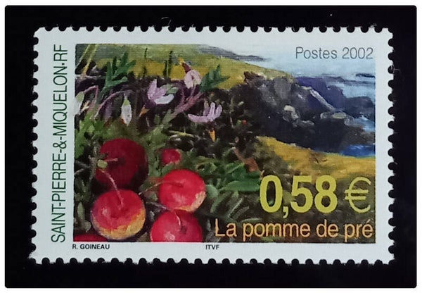 Timbre de Saint Pierre et Miquelon neuf numéro 777 ●