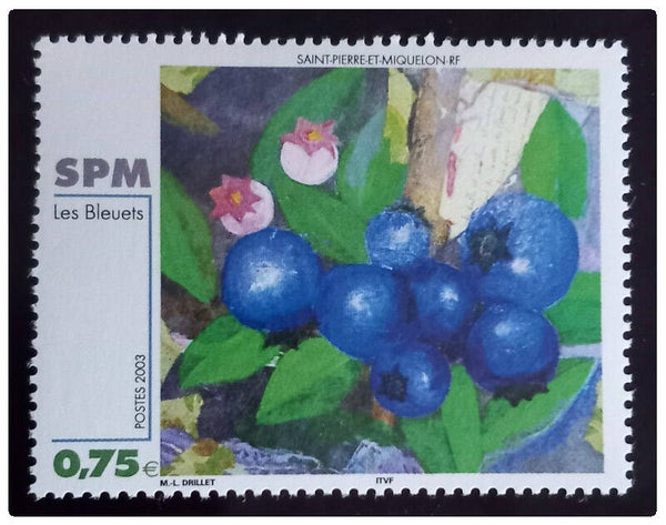 Timbre de Saint Pierre et Miquelon neuf numéro 794 ●